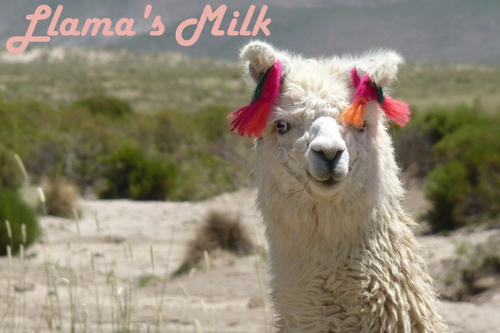 Llama's Milk